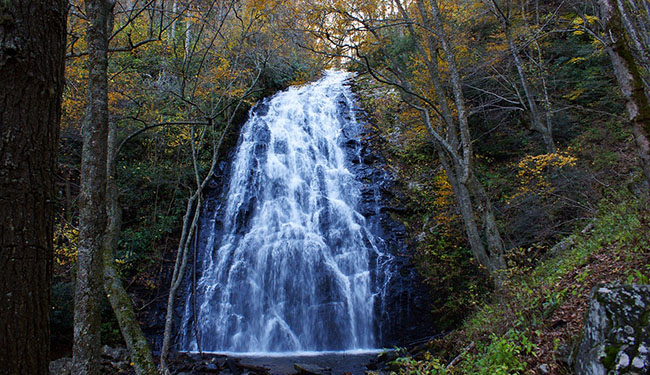 eating disorder treatment asheville nc