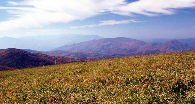 substance abuse therapy neurofeedback asheville nc