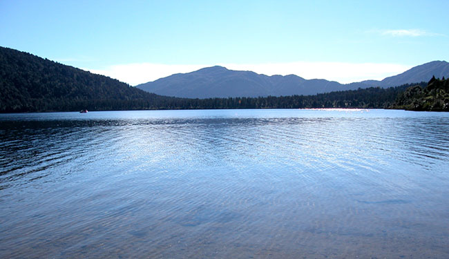 neurofeedback therapy asheville nc dr. cindy buff